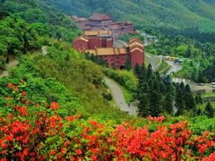 -永州阳明山国家森林公园