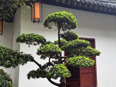 -香积寺