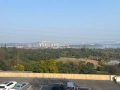 -张坝桂圆林公园