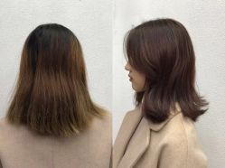 -T8 SALON