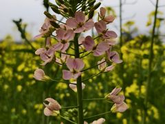 -中国天府农业博览园