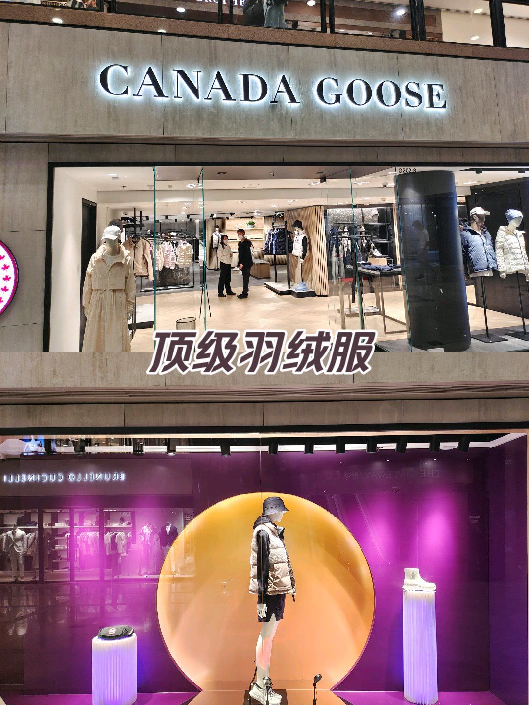 加拿大鹅,海港城的还不错