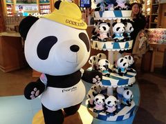 -熊猫屋(宽窄巷子景区店)