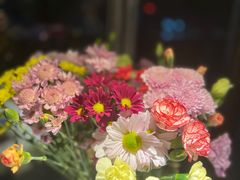 -春暖花开(西溪店)