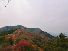 -十三陵水库