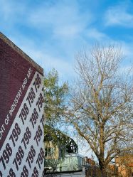 -薇兰专业脱毛连锁机构