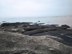 -辽宁团山国家级海洋公园