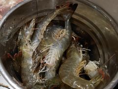 活青虾-一方渔歌蒸汽海鲜自助(文化路万达广场店)