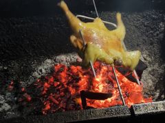 -阿清嫂农家乐.黎窑烤鸡