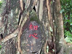 -海口火山口国家地质公园
