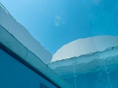 -金泽21世纪美术馆