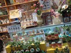 -万达广场(大明宫店)