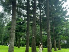 -人民公园(罗湖区)