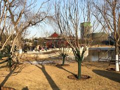 -西海子公园