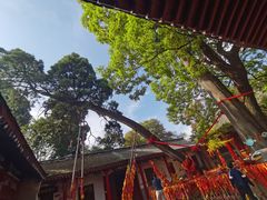 -少华山国家森林公园