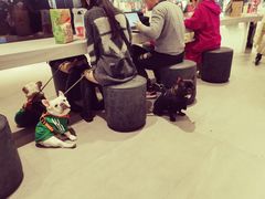 -喜茶(杭州滨江宝龙店)