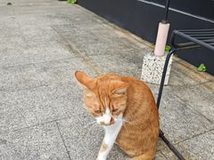-简象咖啡CAFE ELE JANE(满陇桂雨店)