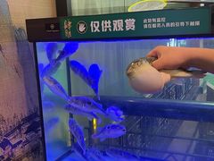 -肆月河豚·淮扬菜·湘菜(华天店)