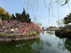-无锡蠡湖国家湿地公园-蠡园