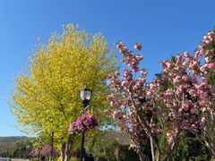 -棒棰岛宾馆景区