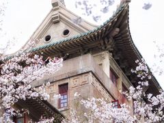 -武汉大学-樱园