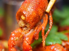 小龙虾-楚媚娘炭火蛙锅(宽厚里店)
