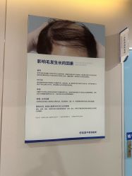 -碧莲盛不剃发植发