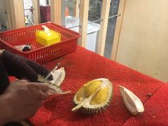 -都念榴莲·城市榴莲
