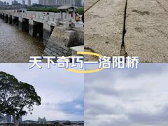 -洛阳桥