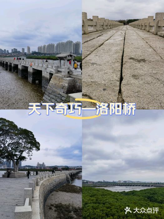 洛阳桥图片