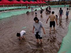 -庆岭迎宾园正宗活鱼馆