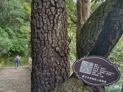 -黑龙潭公园