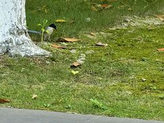 -苏州河梦清园环保主题公园