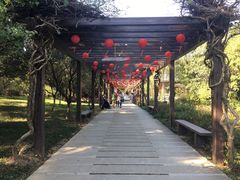 -白马涧龙池景区