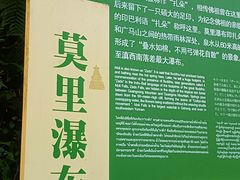 -莫里热带雨林景区