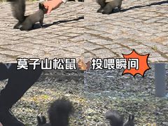-莫子山公园