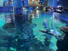 -暹罗海洋世界
