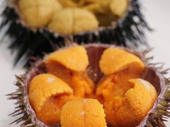 海胆-常鲜楼常来尝鲜海胆馆(星海店)