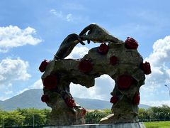 -亚龙湾国际玫瑰谷