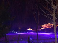 -金城公园
