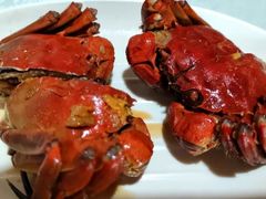 -呼吸森林·生态农庄农家乐私房菜