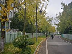 -铁山坪森林公园