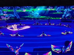 -鼎盛王朝康熙大典实景演出