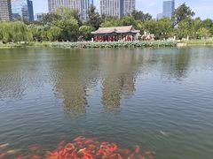 -西海子公园