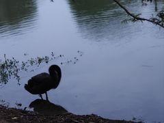 -瑶湖郊野森林公园