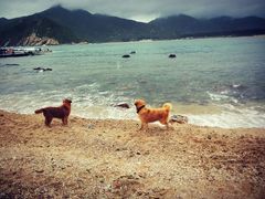 -西涌国际滨海旅游区