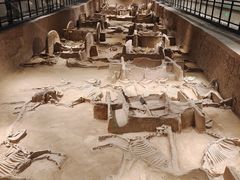 -洛阳周王城天子驾六博物馆