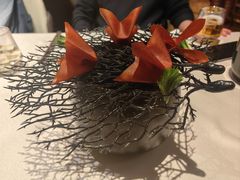 -迦南苑·新派青岛菜·生日纪念日主题餐厅
