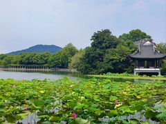 -西湖游船
