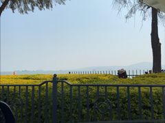 -白城沙滩